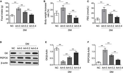 Antidiabetic Effect of Artemether in Db/Db Mice Involves Regulation of AMPK and PI3K/Akt Pathways